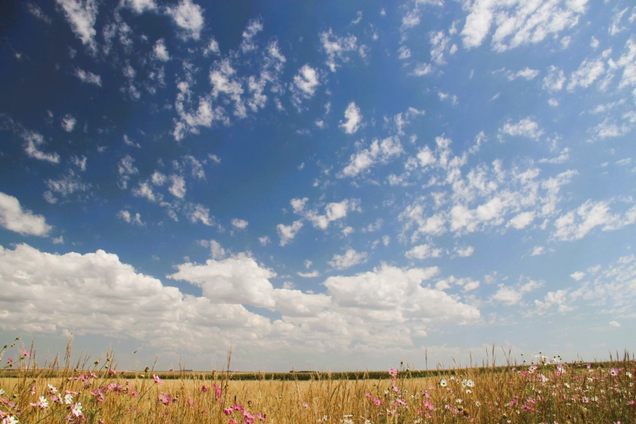 4 Bedroom Property for Sale in Metsimaholo Free State